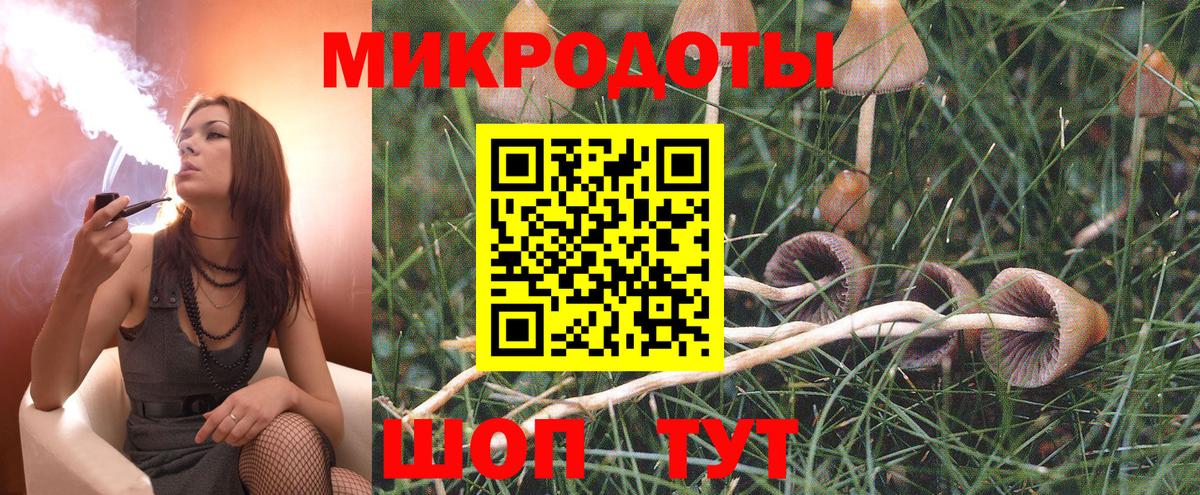 Галлюциногенные грибы MAGIC MUSHROOMS Ленинск-Кузнецкий