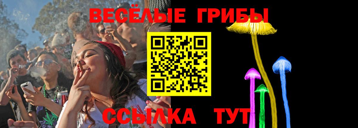 Галлюциногенные грибы прущие грибы  Псилоцибиновые грибы Cubensis  Вход с VPN  Ленинск-Кузнецкий 